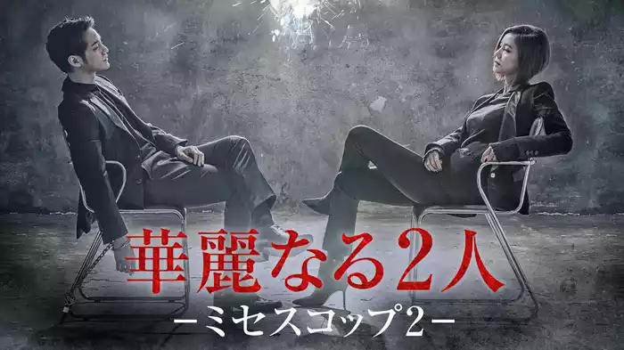 華麗なる2人－ミセスコップ2－