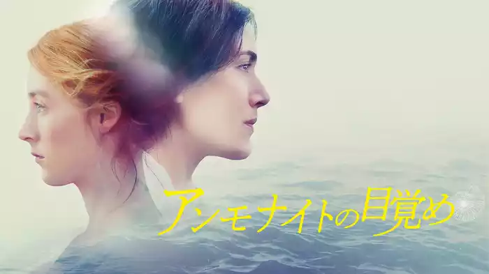 アンモナイトの目覚め